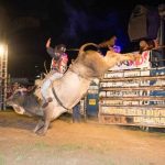 XIII Rodeio Festival de Virgínia e 1º Trilhão beneficente – 2017